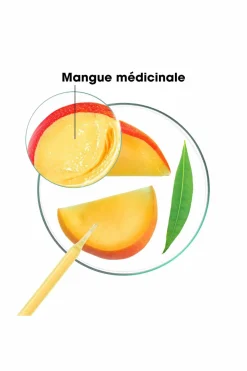 Discount Klorane Après-shampoing nutrition à la mangue pour cheveux secs