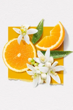 Online Solinotes Brume parfumée corps & cheveux Fleur d’Oranger