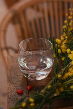 New POMÉOL Complément alimentaire autobronzant