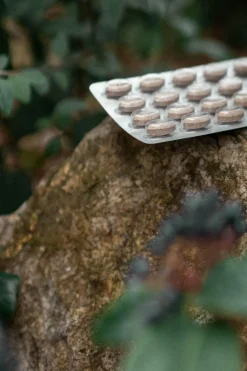 POMÉOL Complément alimentaire brûleur de graisse