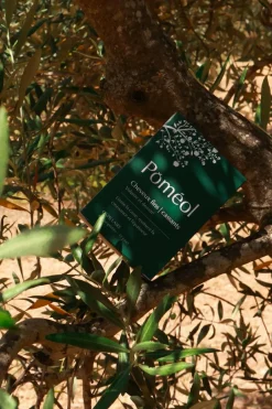 New POMÉOL Complément alimentaire volume & densité pour cheveux fins