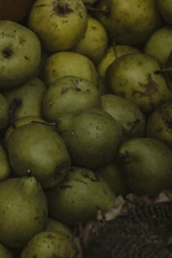 New POMÉOL Complément alimentaire volume & densité pour cheveux fins