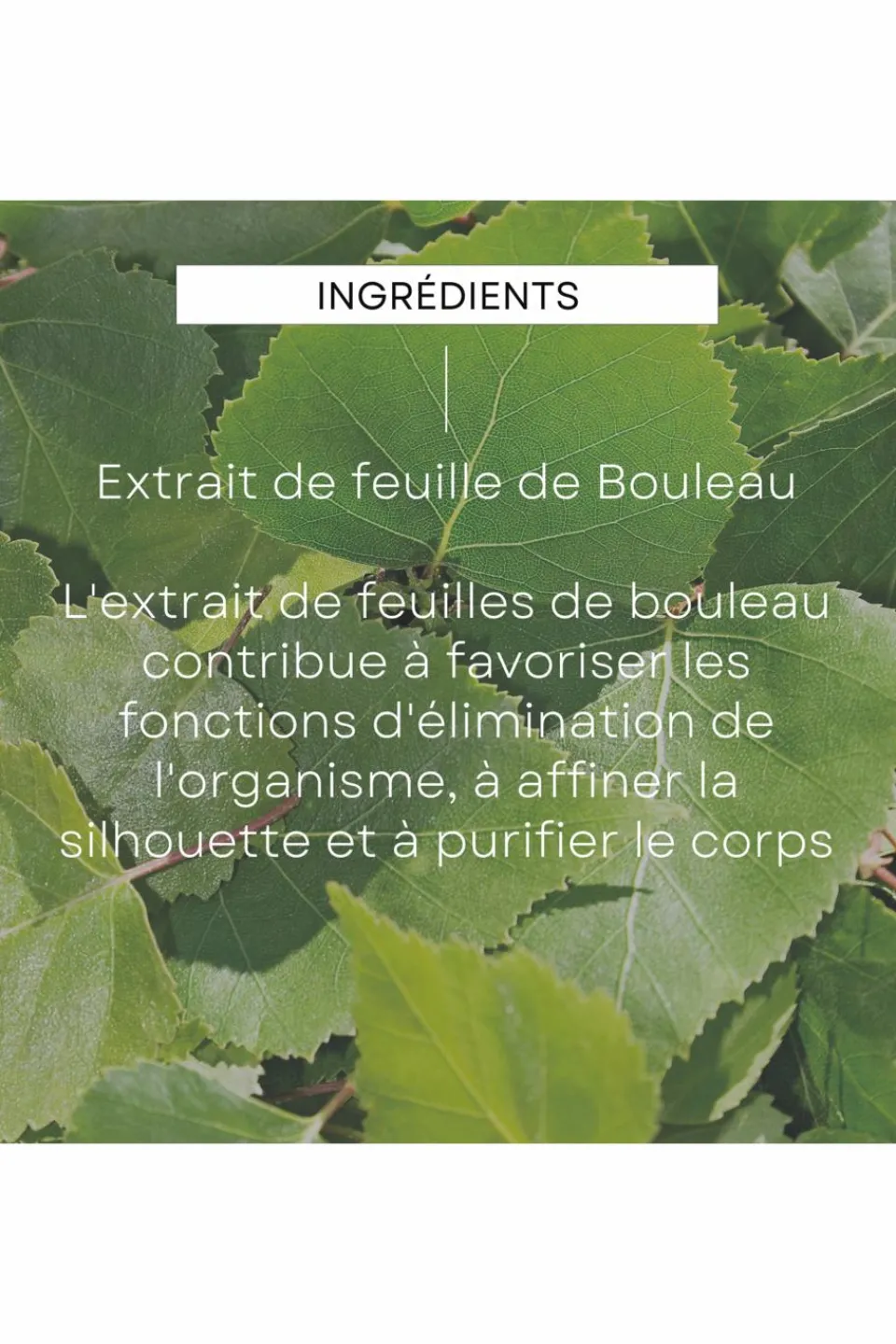 Online Weleda Crème de douche gommante au bouleau