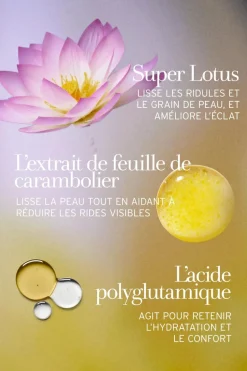Sale Fresh Crème de jour au lotus et à la vitamine E