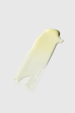 PAI Crème hydratante asante The Anthemis