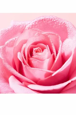 New Nuxe Crème mains et ongles apaisante Very Rose