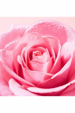 Clearance Nuxe Duo eau micellaire very rose