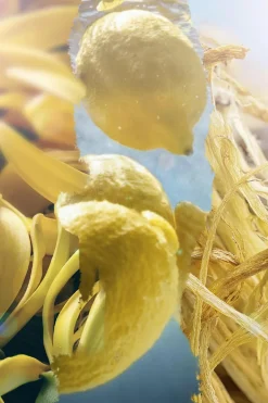 Online L’ATELIER PARFUM Eau de parfum Hot Splash