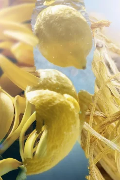 Online L’ATELIER PARFUM Eau de parfum Hot Splash