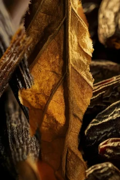 Discount L’ATELIER PARFUM Eau de parfum Tobacco Volute