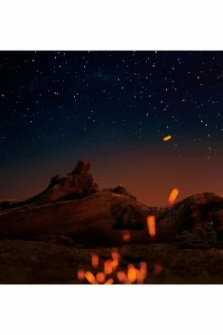 Hot Maison Margiela Eau De Toilette Boisé ambré Replica Under The Stars