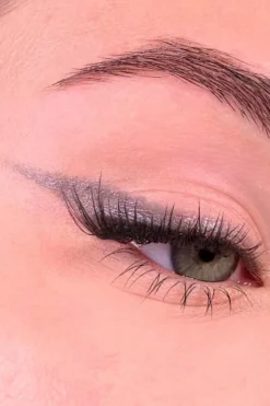 Discount All Tigers Fard à paupières naturel & vegan