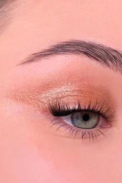 Discount All Tigers Fard à paupières naturel & vegan