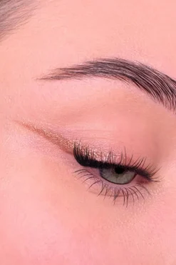 Discount All Tigers Fard à paupières naturel & vegan