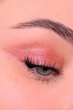 Discount All Tigers Fard à paupières naturel & vegan