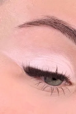 Discount All Tigers Fard à paupières naturel & vegan