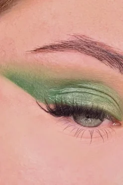 Discount All Tigers Fard à paupières naturel & vegan