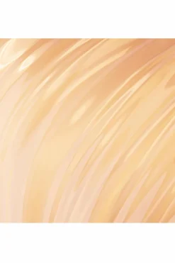 Sale Les Secrets de Loly Gelée capillaire Boost Curl