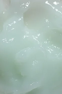 Online Cavaillès Gelée en eau