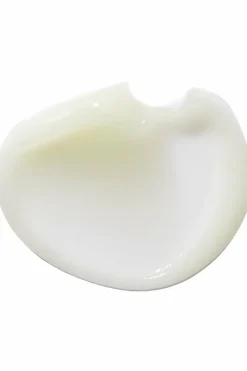 Hot Erborian Gelée fraîcheur Crème Frappée Bamboo