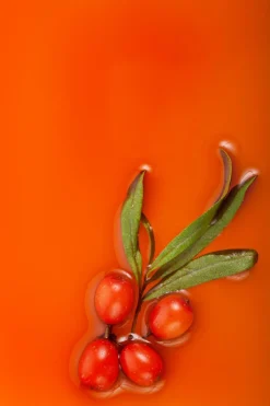 Outlet Natura Siberica Gommage corps à l’argousier