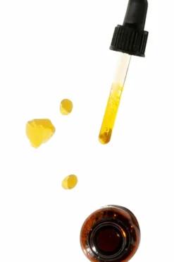 Online Clémence et Vivien Huile de soin antioxydante