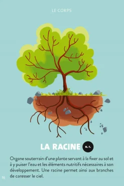 Outlet Marabout Livre Méditer avec Petit Bambou