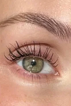 Clearance Sandstone Scandinavia Mascara noir Grand Danois