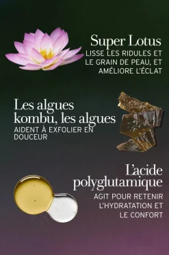 New Fresh Masque anti-âge exfoliant au Lotus