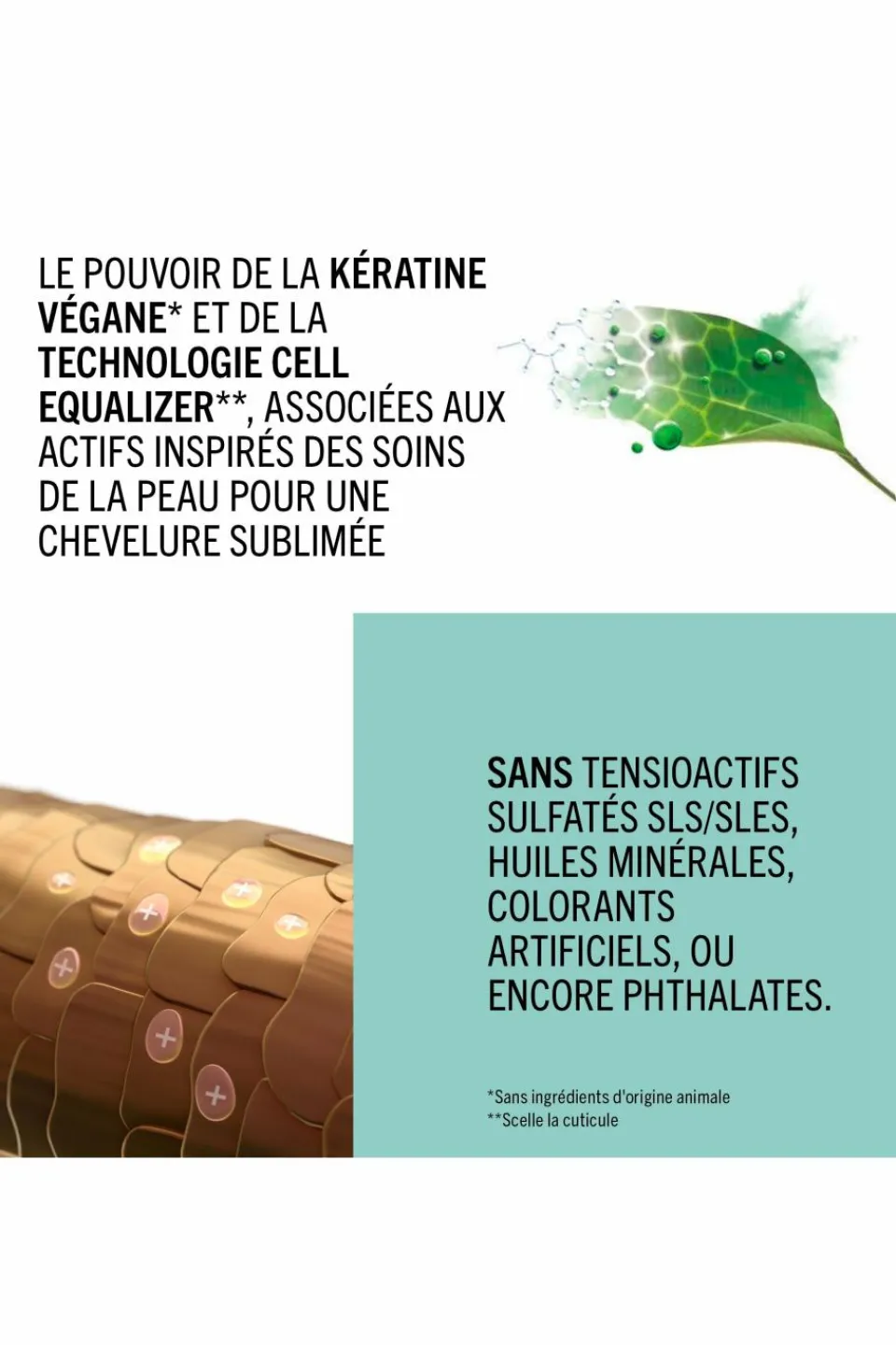 Online Schwarzkopf Professional Rénovateur de pointes BC repair rescue