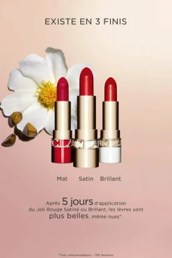 Best Clarins Rouge à lèvres rechargeable Joli Rouge Mat
