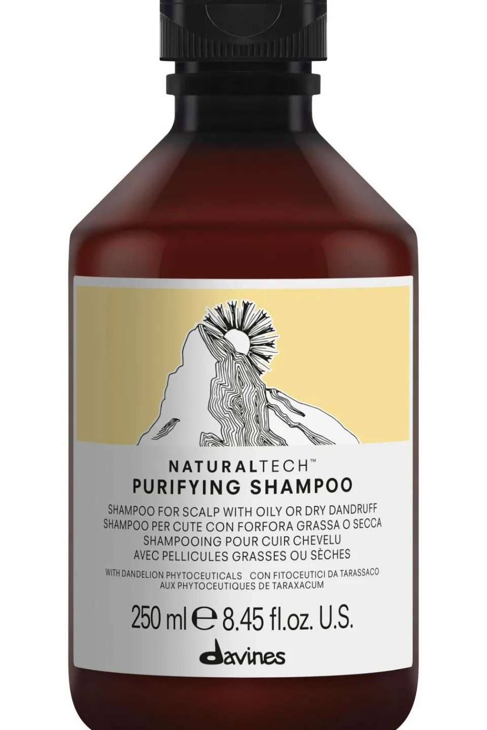 Discount Davines Shampoing Purifiant Naturaltech