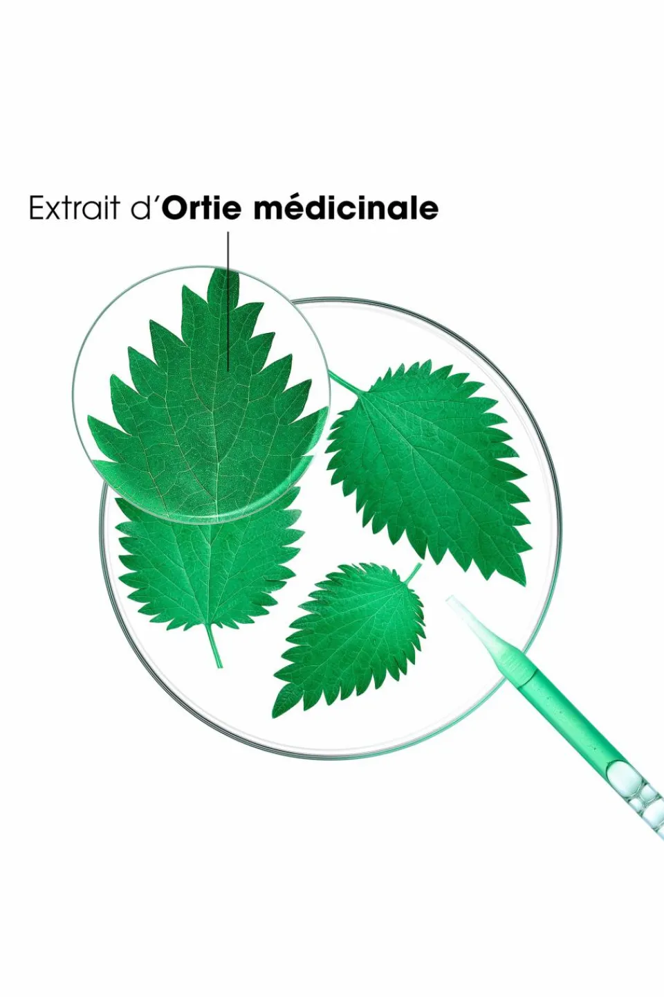 Discount Klorane Shampoing séboréducteur à l’ortie bio pour cheveux gras