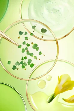 Online Nuxe Soin ciblé regard et lèvres Nuxuriance Ultra