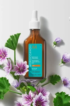 Hot Moroccanoil Soin prélavage anti-démangeaisons pour cuir chevelu sec