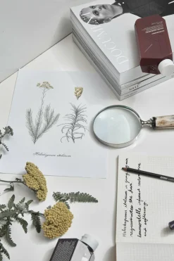 New KEVIN.MURPHY Sérum Huile régénérante à l’immortelle YOUNG.AGAIN.SERUM