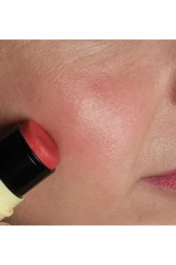 Sale Pomponne Stick baume lèvres & blush Fantastick