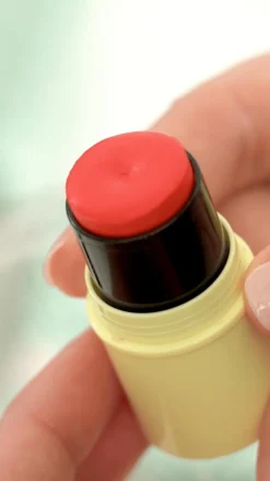 Sale Pomponne Stick baume lèvres & blush Fantastick