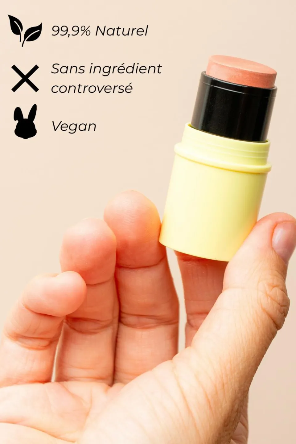 Online Pomponne Stick highlighter or rosé