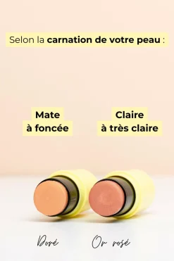 Online Pomponne Stick highlighter or rosé