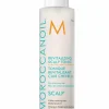 New Moroccanoil Tonique revitalisant sans rinçage