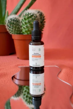 Best Clémence et Vivien Trio bonne mine hâle intense